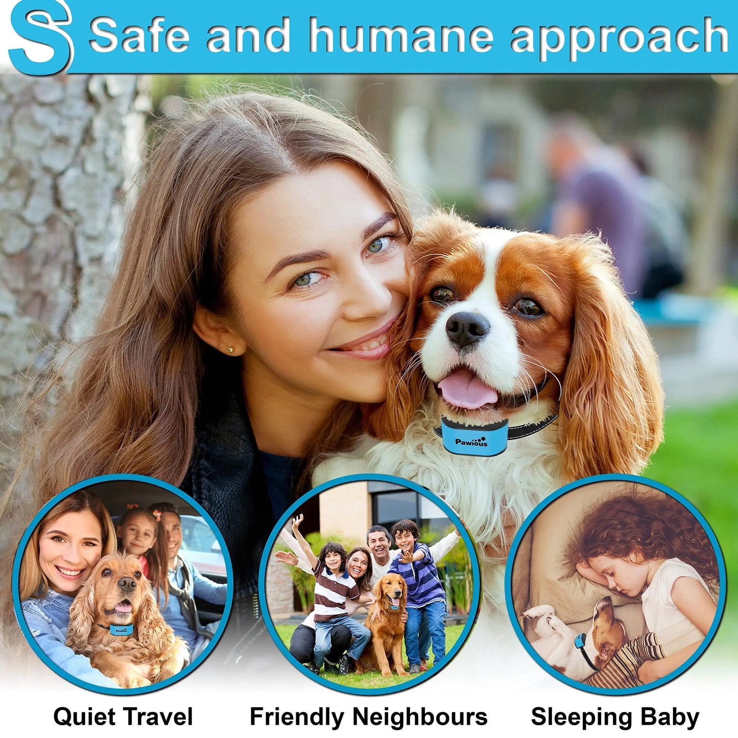 Pet Collars & Harnesses