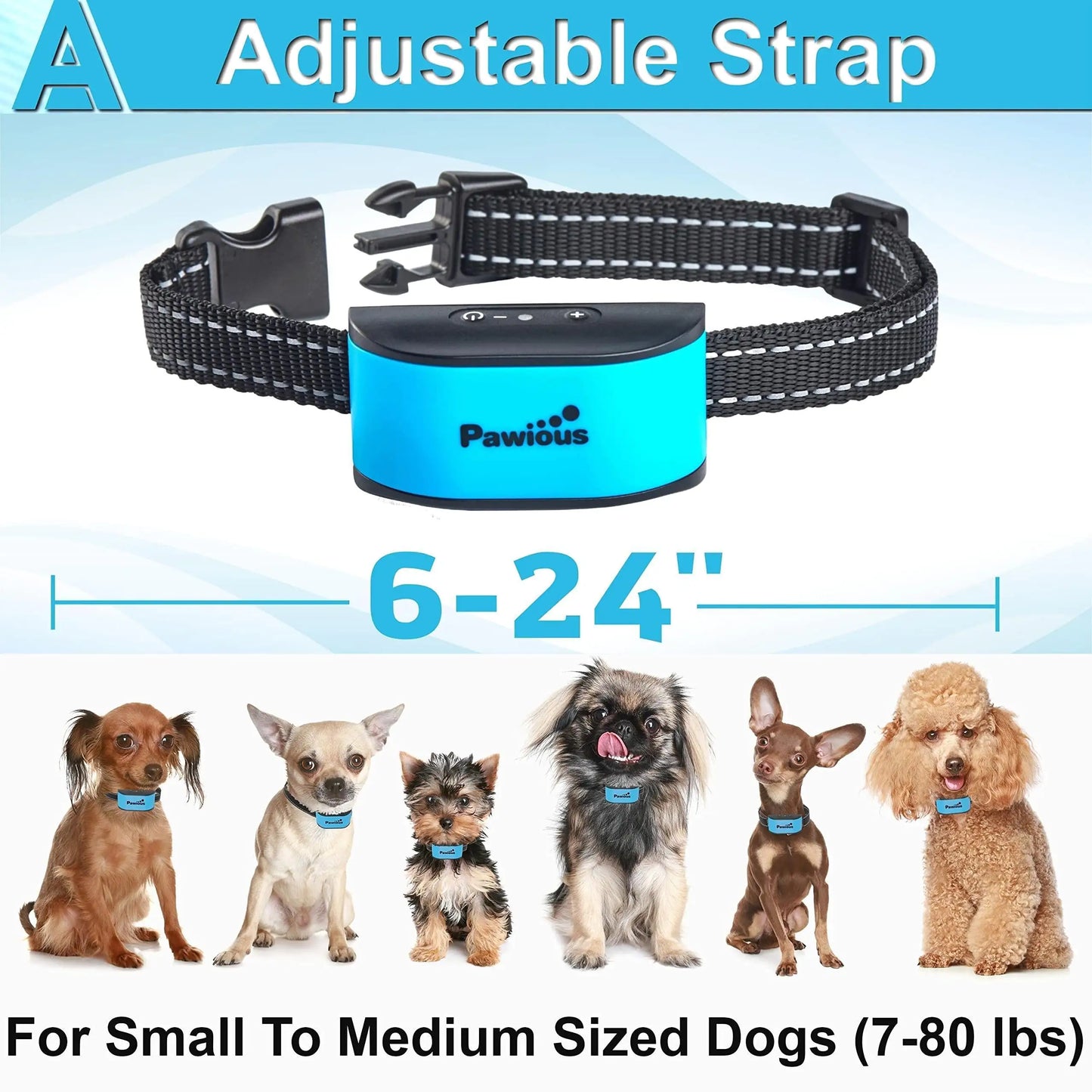 Pet Collars & Harnesses