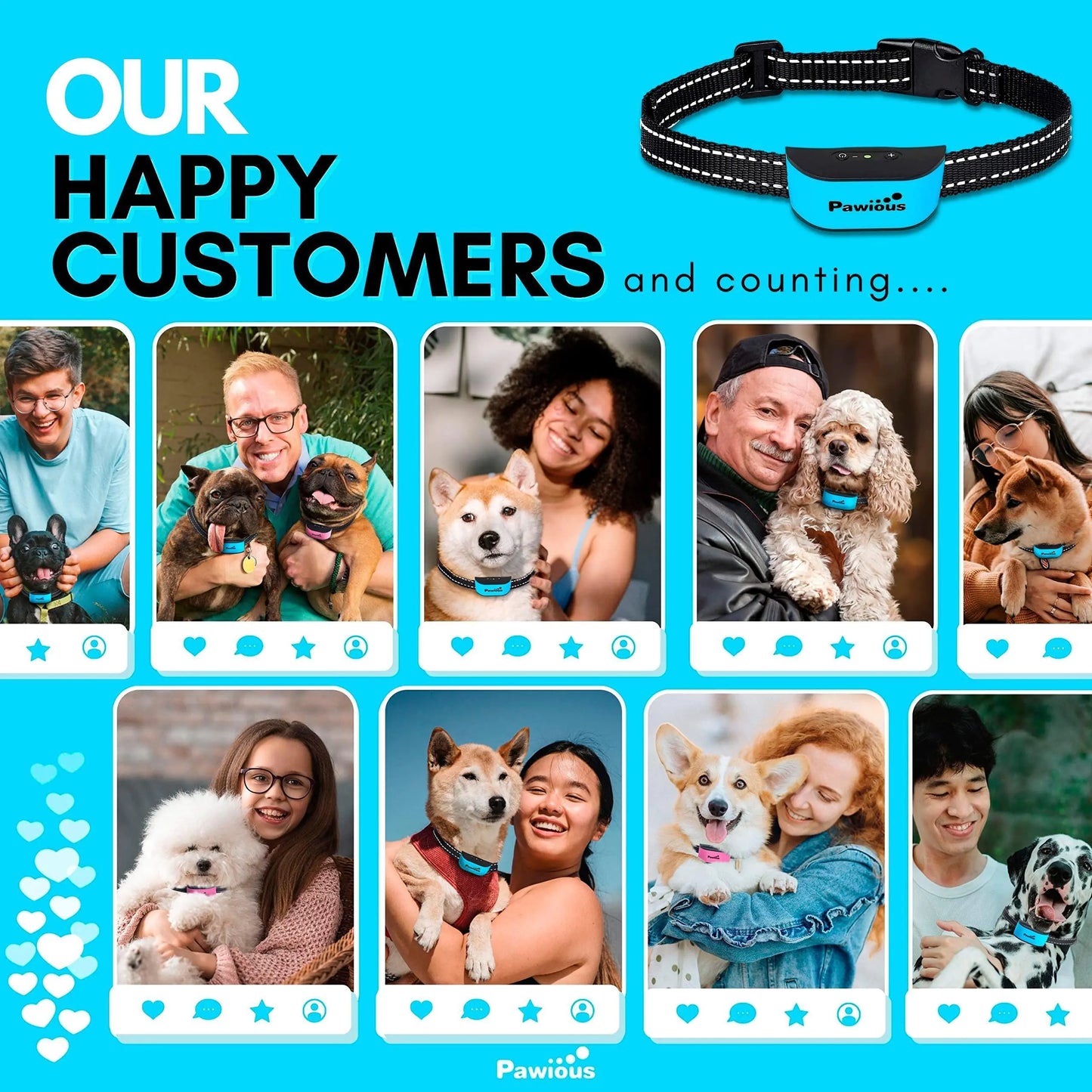 Pet Collars & Harnesses